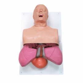 Manejo de vías respiratorias en adultos