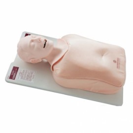 Entrenador de vías aéreas, adulto