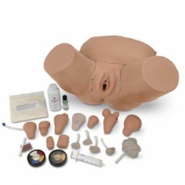 Simulador pelvico avanzado de ginecologia