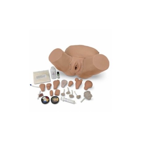 Simulador pelvico avanzado de ginecologia