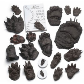 Set de comparación track size