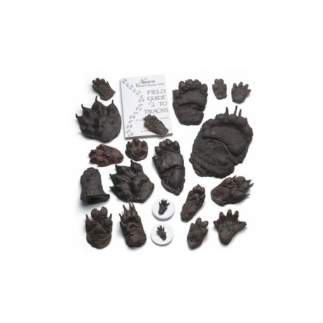 Set de comparación track size